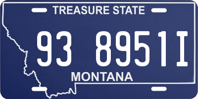 MT license plate 938951I
