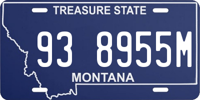 MT license plate 938955M