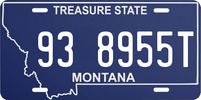 MT license plate 938955T