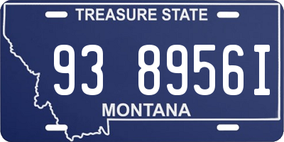MT license plate 938956I