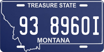 MT license plate 938960I