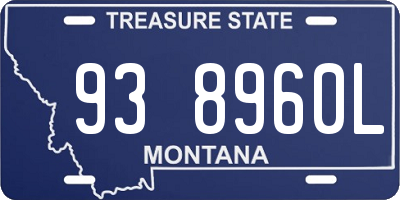 MT license plate 938960L