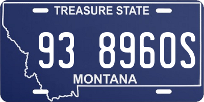 MT license plate 938960S