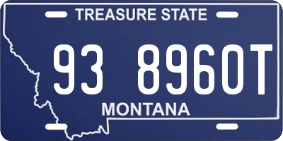 MT license plate 938960T