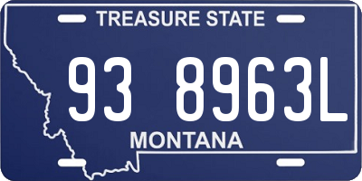 MT license plate 938963L