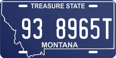 MT license plate 938965T