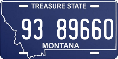 MT license plate 938966O
