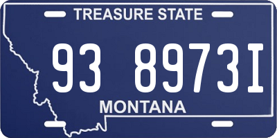 MT license plate 938973I