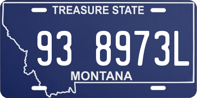 MT license plate 938973L