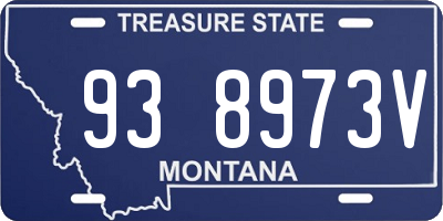 MT license plate 938973V
