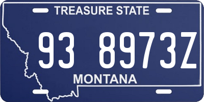 MT license plate 938973Z