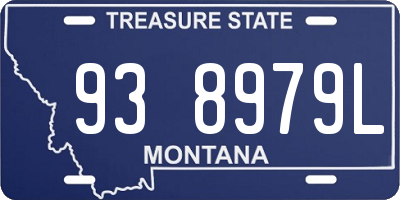 MT license plate 938979L