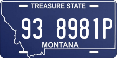 MT license plate 938981P