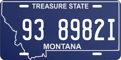 MT license plate 938982I