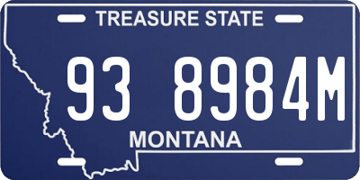 MT license plate 938984M