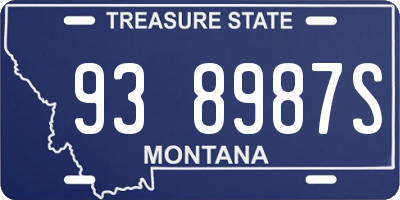 MT license plate 938987S