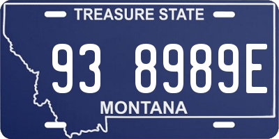 MT license plate 938989E