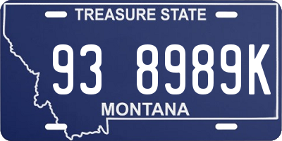 MT license plate 938989K