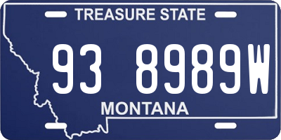 MT license plate 938989W