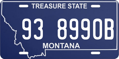 MT license plate 938990B