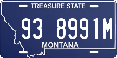 MT license plate 938991M