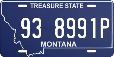 MT license plate 938991P