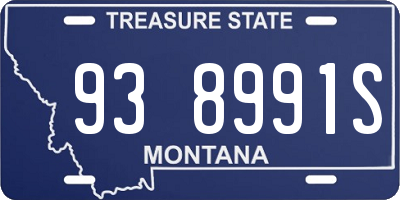 MT license plate 938991S