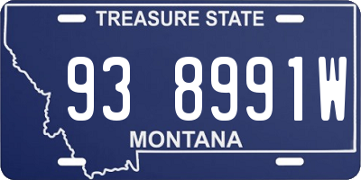 MT license plate 938991W