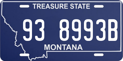 MT license plate 938993B
