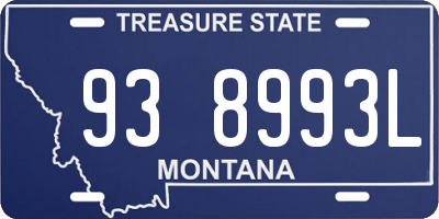 MT license plate 938993L