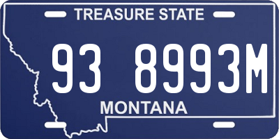 MT license plate 938993M