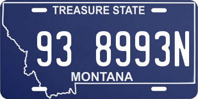 MT license plate 938993N