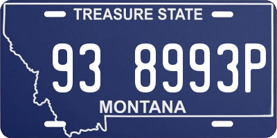 MT license plate 938993P