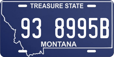 MT license plate 938995B