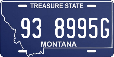MT license plate 938995G