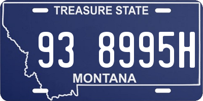 MT license plate 938995H