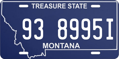 MT license plate 938995I