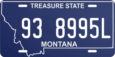 MT license plate 938995L