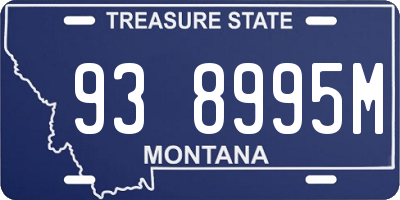 MT license plate 938995M