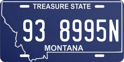 MT license plate 938995N