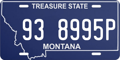 MT license plate 938995P