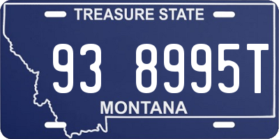 MT license plate 938995T
