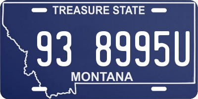 MT license plate 938995U