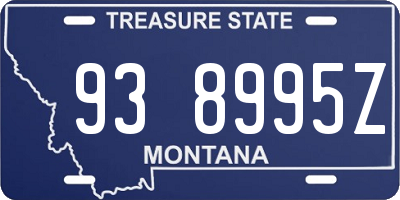 MT license plate 938995Z