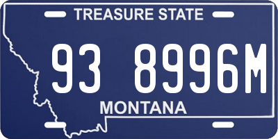 MT license plate 938996M