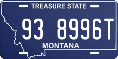MT license plate 938996T