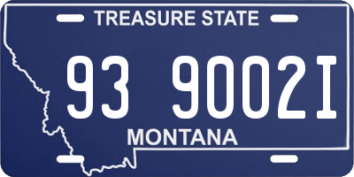 MT license plate 939002I