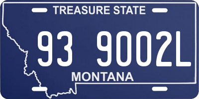 MT license plate 939002L