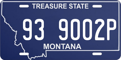 MT license plate 939002P