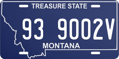 MT license plate 939002V